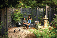 Napoleon Premium 22" Charcoal Kettle Grill