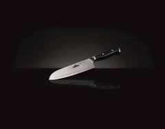 Napoleon Santoku Knife