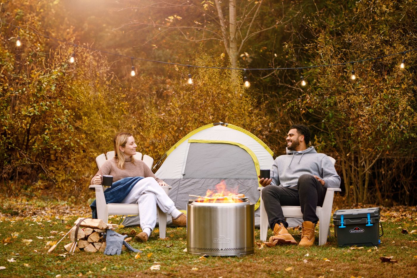 Napoleon Stainless Steel Timberwolf Smokeless Fire Pit